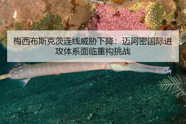 mei-xi-bu-si-ke-ci-lian-xian-wei-xie-xia-jiang-mai-a-mi-guo-ji-jin-gong-ti-xi-mian-lin-zhong-gou-tiao-zhan-3-850.jpg