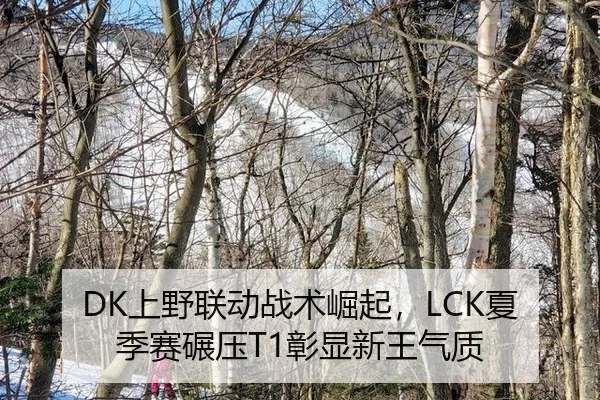 DK上野联动战术崛起，LCK夏季赛碾压T1彰显新王气质